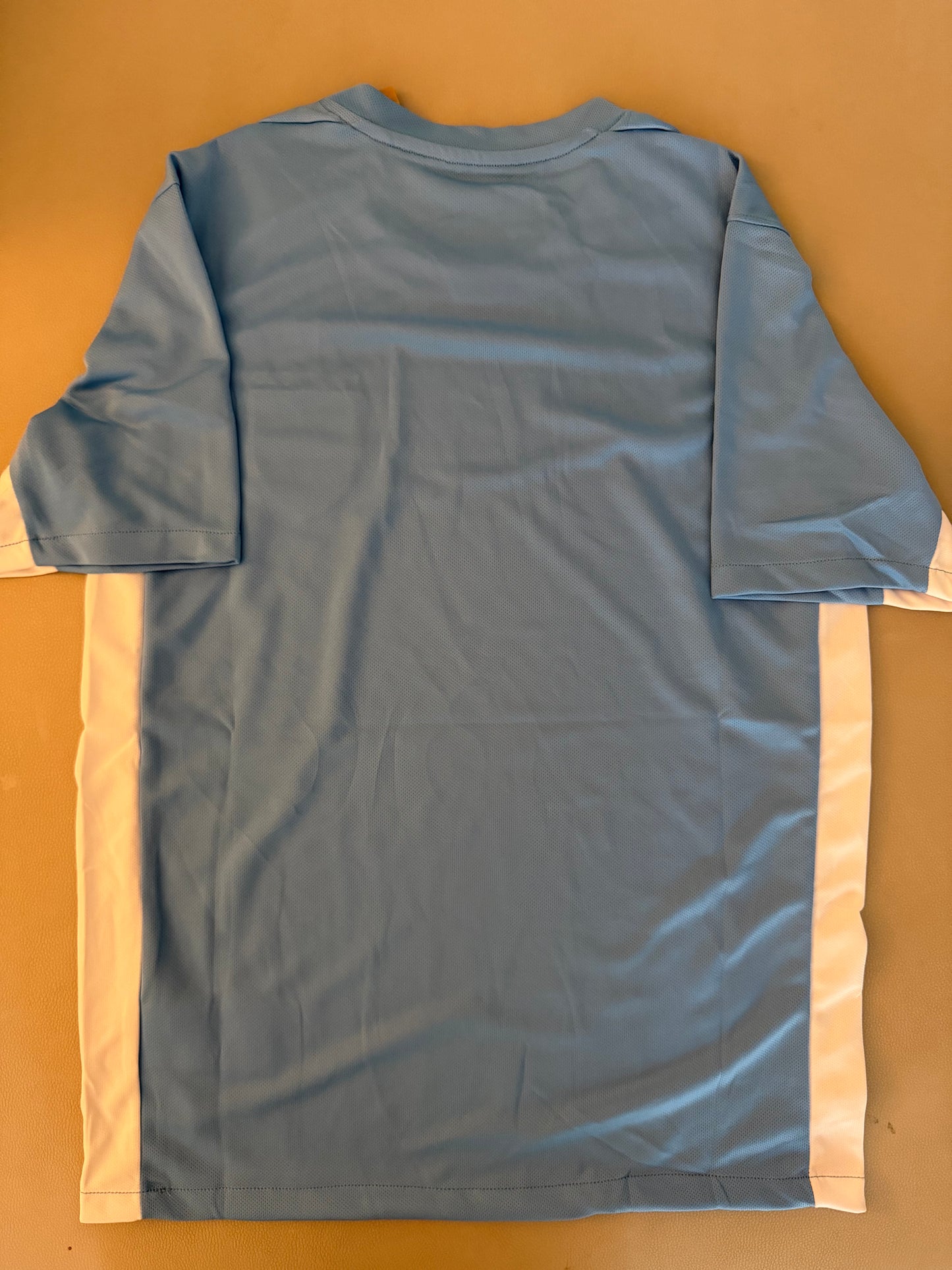 Uruguay world cup 2026 edition soccer jersey